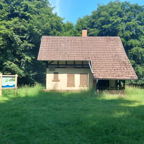 1750586180325.jpg