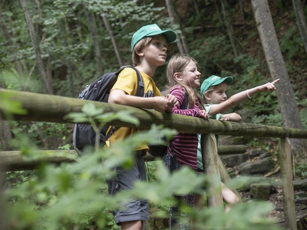 SB_Junior Ranger BK (72).jpg