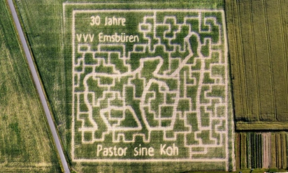 Maisirrgarten_2025.jpg