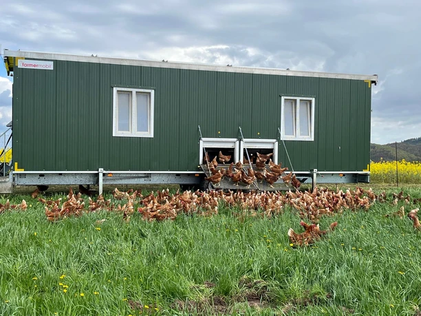 Hühnermobil mit freilaufenden Hühnern