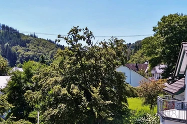 Willingen-Fewo Skywalkblick.jpg