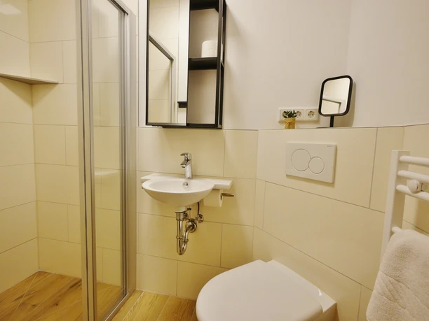 Bad2-Fewo-Waldgeist-Upland-Appartements-Willingen (1500x1125).jpg