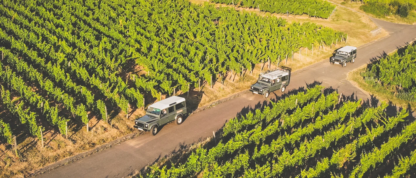 Rheingau Land Rover Weinberg Tour Drei Landrover fahren durch die Weinberge.