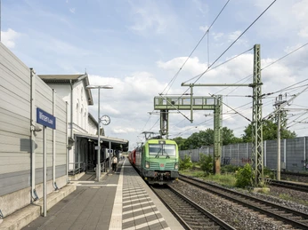 Eine grüne Lok im Bahnhof Winsen/Luhe