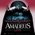 21st Projekte 18x13mm Amadeus