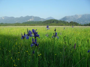 Radtour durchs Murnauer Moos