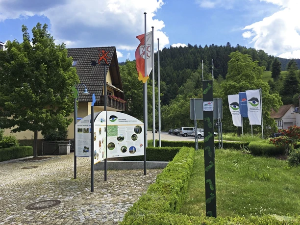 Infostern Rathaus Walke