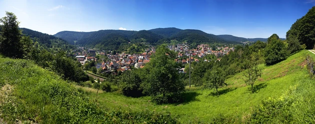 Forbach-Gausbach-Blick von der Brückwaldanlage