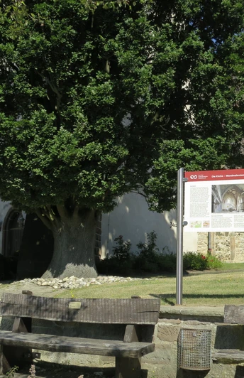 Eco Pfad Habichtswald