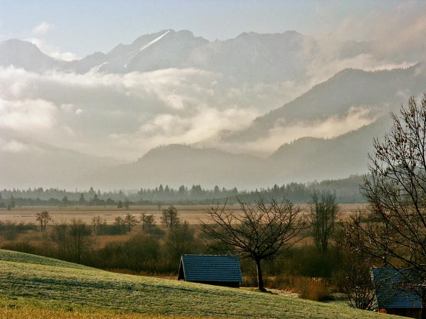 Nebel im Murnauer Moos