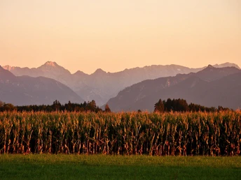 Moos und Estergebirge
