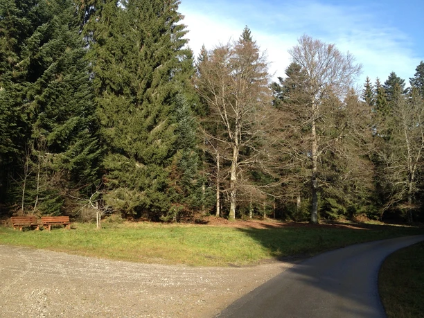 Weg zur Schwarzwaldhochstraße