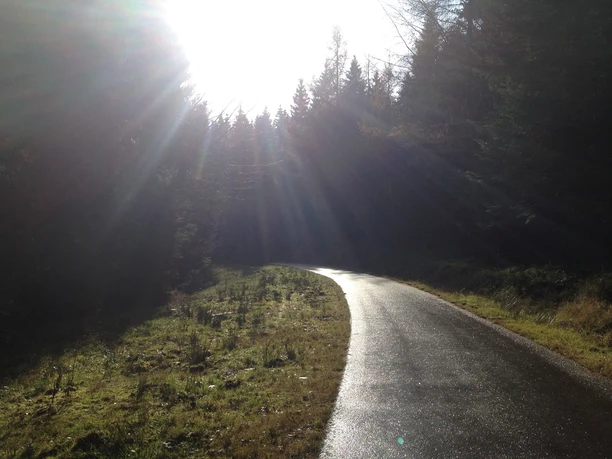 Kniebis nach Freudensadt