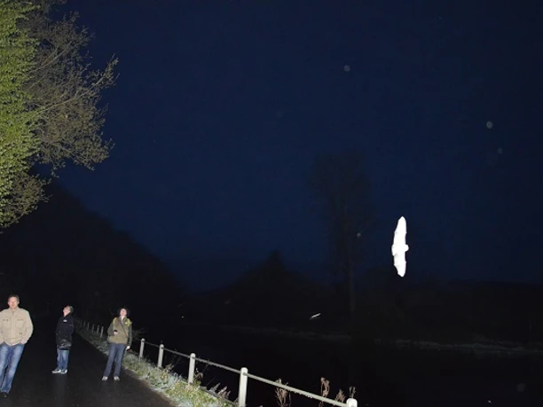 Mit Fledermaeusen auf Du und Du Drei Menschen stehen nachts auf einem Gehweg. Der Himmel ist dunkel. Eine Fledermaus fliegt vorbei.