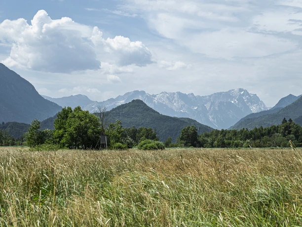 Himmlisch genießen - Blaues Land Weite Wiesenlandschaft mit Bergen im Hintergrund, unter einem leicht bewölkten Himmel.