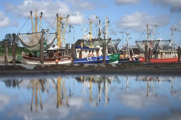 Hafen Fedderwardersiel - Krabbenkutter (3).jpg