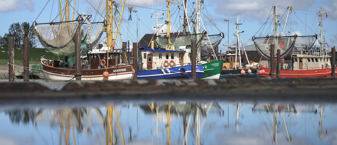 Hafen Fedderwardersiel - Krabbenkutter (3).jpg
