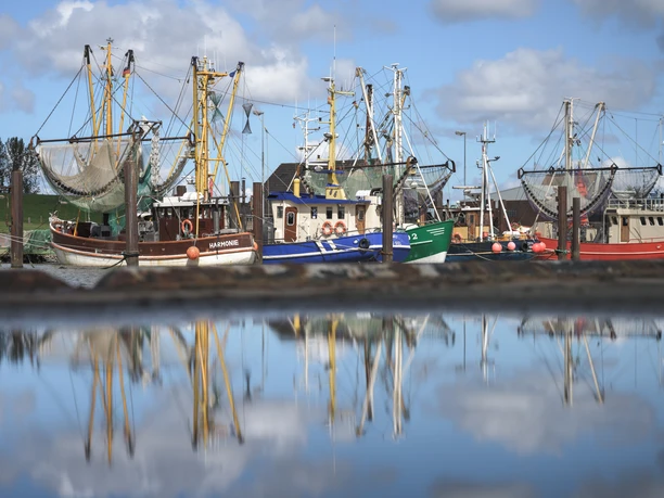 Hafen Fedderwardersiel - Krabbenkutter (3).jpg