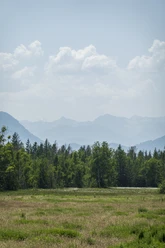 Himmlisch genießen - Blaues Land-Landschaft Wiese mit Blick auf Waldrand und Berge im Hintergrund unter leicht bewölktem Himmel.