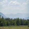 Himmlisch genießen - Blaues Land-Landschaft Wiese mit Blick auf Waldrand und Berge im Hintergrund unter leicht bewölktem Himmel.