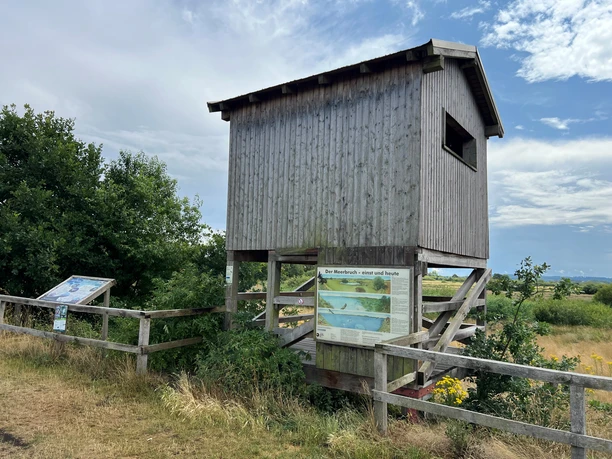 Beobachtungsturm Meerbruchswiesen Beobachtungsturm aus Holz umgeben von blühenden Wiesen unter einem leicht bewölkten Himmel.