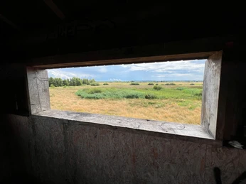 Beobachtungsturm Meerbruchswiesen Aussicht aus einem Beobachtungsturm auf weitläufige Wiesen mit einem bewölkten Himmel im Hintergrund.