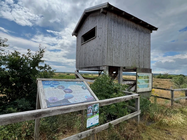 Beobachtungsturm Meerbruchswiesen Ein hölzerner Beobachtungsturm mit Infotafeln steht in einer wiesenreichen, naturbelassenen Landschaft.