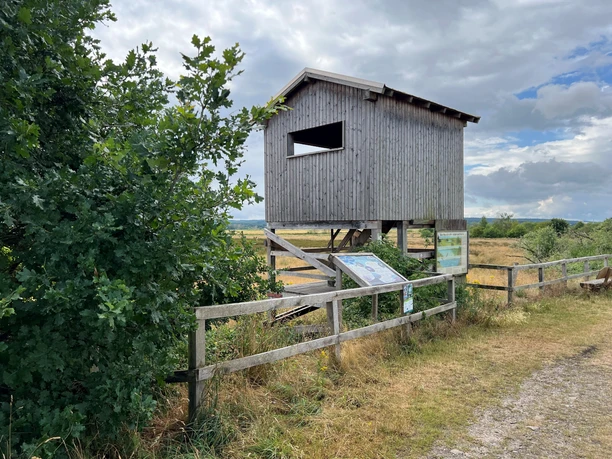 Beobachtungsturm aus Holz auf Stelzen, umgeben von Wiesen und Bäumen, mit Infotafeln und Wolkenhimmel.