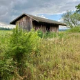 Beobachtungshütte Gänsewiese Eine Holzbeobachtungshütte steht inmitten hoher Gräser und umgeben von Bäumen unter bewölktem Himmel.