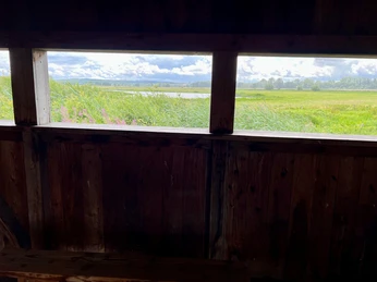 Beobachtungshütte Gänsewiese Blick von einer hölzernen Beobachtungshütte auf eine weite, grüne Landschaft unter dramatischen Wolken.