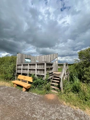 Beobachtungsturm Kranichplatz Holzbeobachtungsturm mit Treppe, umgeben von grüner Vegetation. Bank im Vordergrund unter Wolkenhimmel.