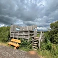 Beobachtungsturm Kranichplatz Holzbeobachtungsturm mit Treppe, umgeben von grüner Vegetation. Bank im Vordergrund unter Wolkenhimmel.