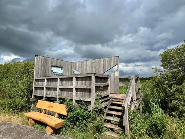 Beobachtungsturm Kranichplatz Holzbeobachtungsturm mit Treppe, umgeben von grüner Vegetation. Bank im Vordergrund unter Wolkenhimmel.