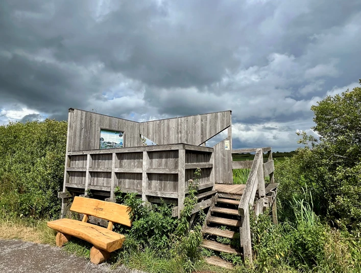Beobachtungsturm Kranichplatz Holzbeobachtungsturm mit Treppe, umgeben von grüner Vegetation. Bank im Vordergrund unter Wolkenhimmel.