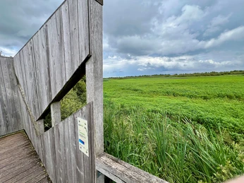Beobachtungsturm Kranichplatz Beobachtungsturm neben üppigem grünen Feld mit Wolken am Himmel; ideal zur Beobachtung der Natur.