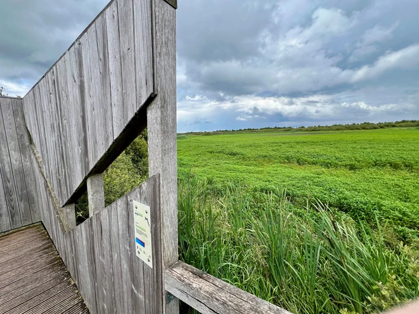 Beobachtungsturm Kranichplatz Beobachtungsturm neben üppigem grünen Feld mit Wolken am Himmel; ideal zur Beobachtung der Natur.