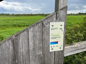 Beobachtungsturm Kranichplatz Beobachtungsturm mit Blick über weite Wiesen und unveränderte Natur, ideal für Vogelbeobachtungen.