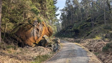 Nationalparkradweg von Stadt Wehlen zur Bastei