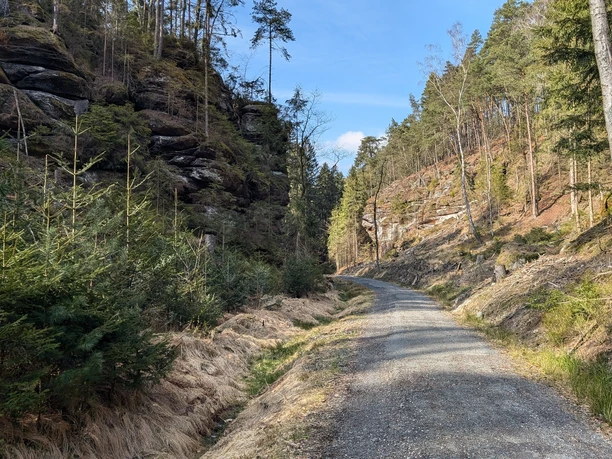 Nationalparkradweg von Stadt Wehlen zur Bastei