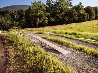 Bike-Area Baiersbronn - Skilltrack