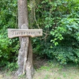 Beschilderung Tiergehege Schild aus Holz am Baum zeigt mit einem Pfeil zur Seite. Der Text auf dem Schild lautet "Tiergehege". Das Schild ist von dichtem grünen Laub umgeben und fester Bestandteil der natürlichen Umgebung.