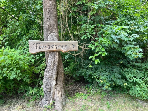 Beschilderung Tiergehege Schild aus Holz am Baum zeigt mit einem Pfeil zur Seite. Der Text auf dem Schild lautet "Tiergehege". Das Schild ist von dichtem grünen Laub umgeben und fester Bestandteil der natürlichen Umgebung.