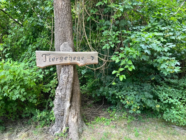 Beschilderung Tiergehege Schild aus Holz am Baum zeigt mit einem Pfeil zur Seite. Der Text auf dem Schild lautet "Tiergehege". Das Schild ist von dichtem grünen Laub umgeben und fester Bestandteil der natürlichen Umgebung.