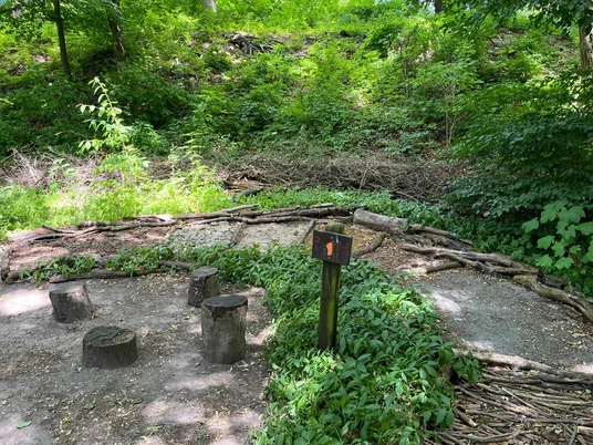 Barfußpfad im Tiergehege Der Barfußpfad im Tiergehege zeigt Baumstümpfe als Sitzgelegenheit, umgeben von grünen Pflanzen.