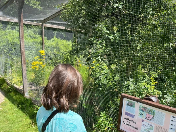 Voliere im Tiergehege Person vor einer großen Voliere mit gelben Blumen und Infotafel über Erdkröten.