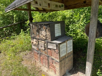 Insektenhotel Tiergehege Ein Insektenhotel aus Naturmaterialien steht unter einem Holzdach inmitten von grünen Büschen.