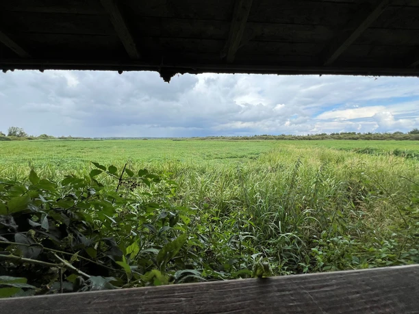Rotkehlchenhütte Weitläufige grüne Wiesen erstrecken sich bis zum Horizont unter einer dramatisch bewölkten Himmel.