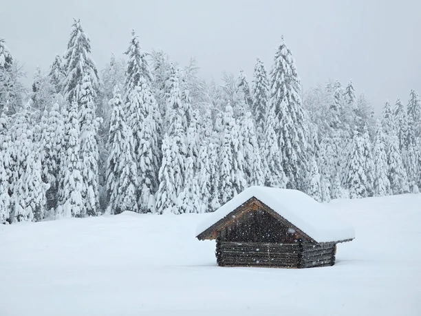 Reschbergwiesen im Winter Verschneite Waldlandschaft mit kleiner Holzhütte unter dichtem Schnee.