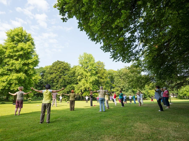 Yoga-Taichi-Entspannung-Kurpark-Bad-Aibling.jpg Eine Gruppe Menschen praktiziert Yoga und Tai-Chi auf einer grünen Wiese im Kurpark, umgeben von Bäumen.