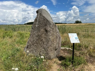 Findling Brokeloh Findling Brokeloh, großer Basaltstein in offener Wiese, daneben Infotafel mit Hinweisen zur Geologie.